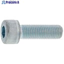 SUNCO 三価ブラック CAP(細目P1.25 10×30 (100本入) A0-00-0004-0100-0300-04 1箱 ■▼248-5705 【送料都度見積】(4)