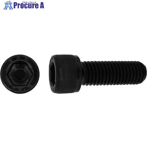 SUNCO CAP EGM 30  160 (8) A0-00-000E-0300-1600-00 1Ȣ 248-6321 ٸѡ