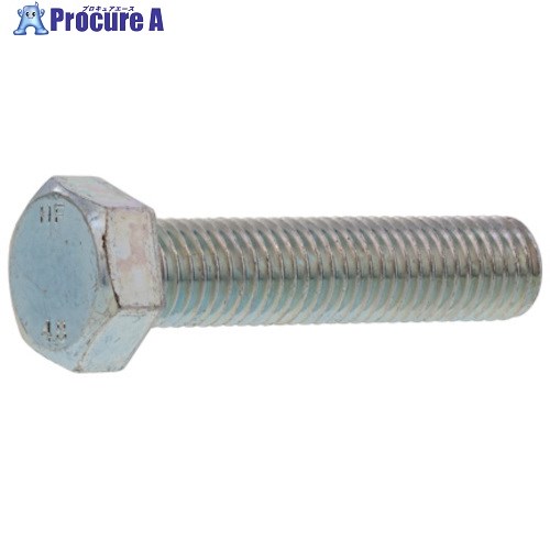 SUNCO ドブ 六角BT 全ネジ(HF 8X25 (300本入) B0-00-H000-0080-0250-12 1箱 ■▼252-4082 【送料都度見積】