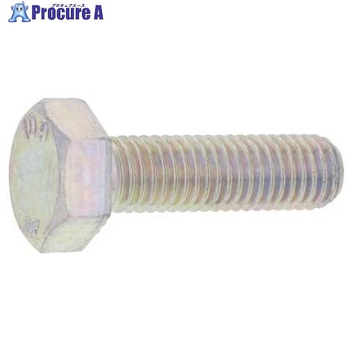 SUNCO ユニクロ 10.9 六角ボルト 全ネ