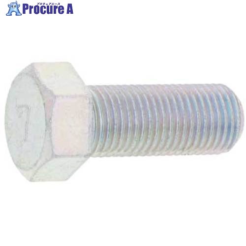 SUNCO 三価ホワイト 7)小型六角BT 全ねじ 細目 馬場(BB) 10X50(1.25 (100本入) B0-00-75V4-0100-0500-03 1箱 ■▼253-8368 【送料都度見積】