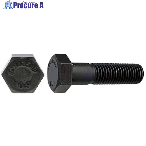 SUNCO 3ۥ磻 10.9 ϻѥܥ NBI 14X80X34 (30) B0-00-B400-0140-0800-03 1Ȣ 254-9975 ٸѡ