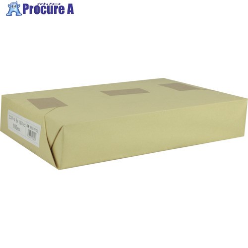 キングコーポ エコボールB4判 257×364mm 100枚入 EBB4100 1パック ▼257-0245