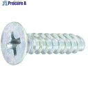 SUNCO ニッケル Bタイプサラ 2×4 (20000本入) 30-00-1001-0020-0040-05 1箱 ■▼262-8688 【送料都度見積】