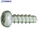 SUNCO クロニッケル TOR× Pタイプ ナベ 2×10 T6 (10000本入) 30-00-2T00-0020-0100-21 1箱 ■▼262-872...