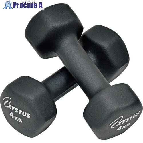 トーエイライト ラバーコートダンベル4 H7173 1組 ■▼272-5323 【送料都度見積】