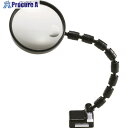 池田レンズ マグネットルーペ 1720-PM 1個 ▼321-6268