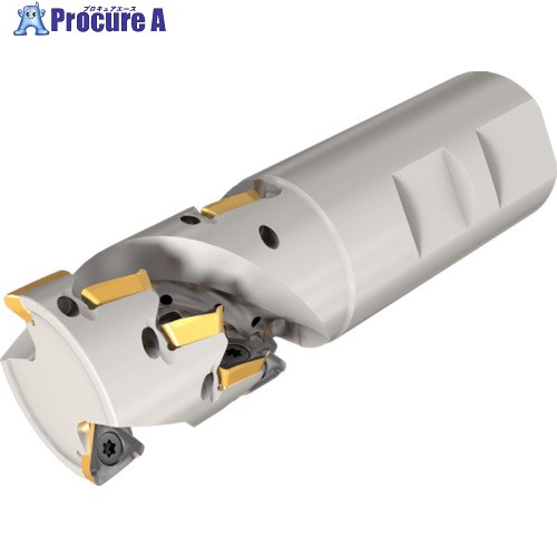 イスカル ヘリIQミル HM390TPKD32-42-2-W32-10 1本 ■▼340-0189 【送料都度見積】 ●O585