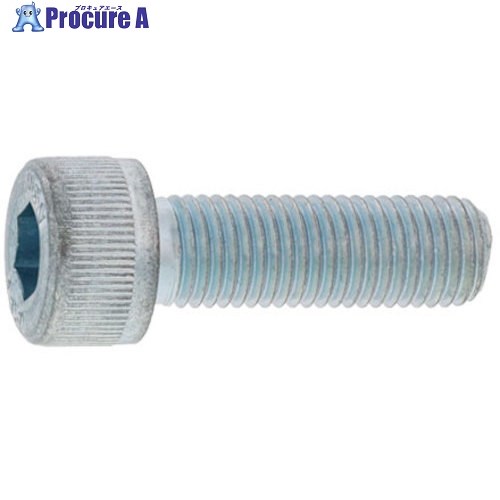 SUNCO CAP(六角穴付きボルト)(細目P1.25 10×85 (6本入) A0-00-0004-0100-0850-00-6 1パック ■▼357-9769 【送料都度見積】