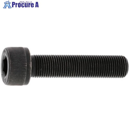 SUNCO CAP(六角穴付きボルト)(細目P2.0 20×45 (1本入) A0-00-0003-0200-0450-00-1 1パック ■▼357-9821 【送料都度見積】