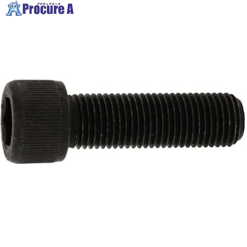 SUNCO ƥCAP(UNF #10-323/8 (9) A0-02-0040-7100-8030-00-9 1ѥå 370-6682 ٸѡ