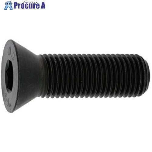 SUNCO SUSサラCAP 12×20 (6本入) A0-02-2000-0120-0200-00-6 1パック ■▼370-9909 【送料都度見積】