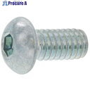 SUNCO BK SUSボタンCAP 4×16 (40本入) A0-02-1000-0040-0160-08-40 1パック ■▼373-1704 【送料都度見積】(4)