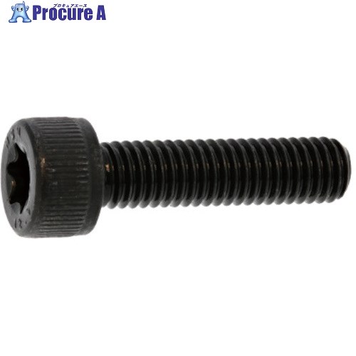 SUNCO ステンTORX-CAP 3×8 (30本入) A0-02-T000-0030-0080-00-30 1パック ■▼378-1937 【送料都度見積】