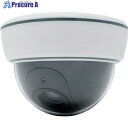 MT ドーム型ダミーカメラ DS-1500B 1台 ▼402-5291