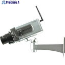 MT 人感センサー搭載ワイヤレス型ダミーカメラ DC-034PT 1台 ■▼402-6881 【送料都度見積】