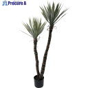 グリーンクロス アガベエレファンティペス 全長155cm 6300029245 1個 ■▼410-3736 ※個人宅様送り不可