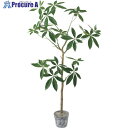 グリーンクロス ジョイントパキラツリーセット 全長130cm 6300029188 1個 ■▼410-3740 ※個人宅様送り不可