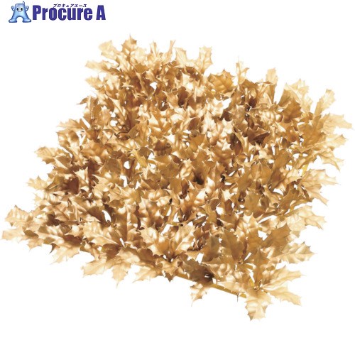 ꡼󥯥 ɥۡ꡼ޥå30cm 6300029155 1 410-3812 ĿԲ
