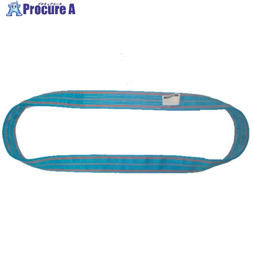 TESAC ブルースリング(JIS3等級・エンドレス形)荷重12.5t全長3.25m 3N200X3.25 1本 ■▼410-5085 【送料都度見積】