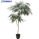 グリーンクロス ショウナンゴム 全長180cm 6300029238 1個 ■▼410-5296 ※個人宅様送り不可
