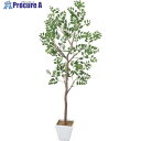グリーンクロス トネリコツリー 全長130cm 6300029203 1個 ■▼410-5368 ※個人宅様送り不可