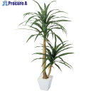 グリーンクロス ドラセナコンシネポット120cm 6300029165 1個 ■▼410-5381 ※個人宅様送り不可
