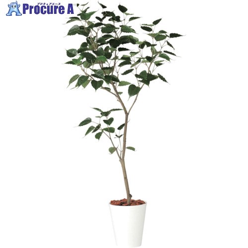 グリーンクロス インドボダイジュ1.8m 6300029337 1個 ■▼410-5396 ※個人宅様送り不可