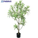グリーンクロス ドラセナインディア 全長115cm 6300029253 1個 ■▼410-8166 ※個人宅様送り不可