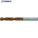 Titex 内部クーラント仕様超硬ドリル DC160-05-06.600A1-WJ30ET 1本 ■▼411-1727 【送料都度見積】 ●O585