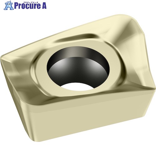 Walter ミーリング加工用 ひし形ポジチップ WSP45G ACMT060208R-G55 WSP45G 10個 ▼411-2988 ●O585