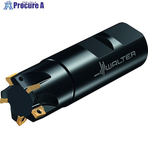 Walter ꥫå M5130-Wɥ󥿥 2 M5130-010-W16-02-05 1 411-4445 O585