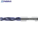 Titex 超硬ツイストドリル DC150-03-13.800D0-WJ30RE 1本 ■▼411-6258 【送料都度見積】 ●O585