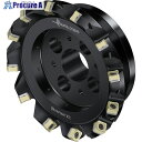 Walter フェイスミルカッター M5009-Bボア穴タイプ 10枚刃 M5009-125-B40-10-06-AP 1個 ▼411-6988 ●O585