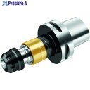 Walter 同期ねじ切りアダプター AB035-C AB035-C4-ER11-080 1個 ■▼412-3770 【送料都度見積】 ●O585