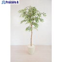 グリーンクロス 人工樹木/人工観葉植物 シラカシ 6300028764 1個 ■▼412-7780 ※個人宅様送り不可