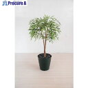 グリーンクロス 人工樹木/人工観葉植物 シラカシ 6300028760 1個 ■▼412-7786 ※個人宅様送り不可