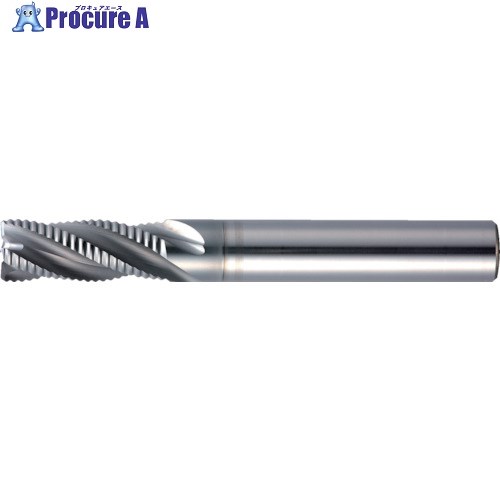 MOLDINO ݥåSUSEPSW3040-PN EPSW3040-PN 1 424-2891