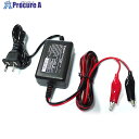 グリーンクロス バッテリー充電器 12V用 1A バイク用 ワニ口クリップ HE-03 6300031503 1台 ■▼426-7181 ※個人宅様送り不可