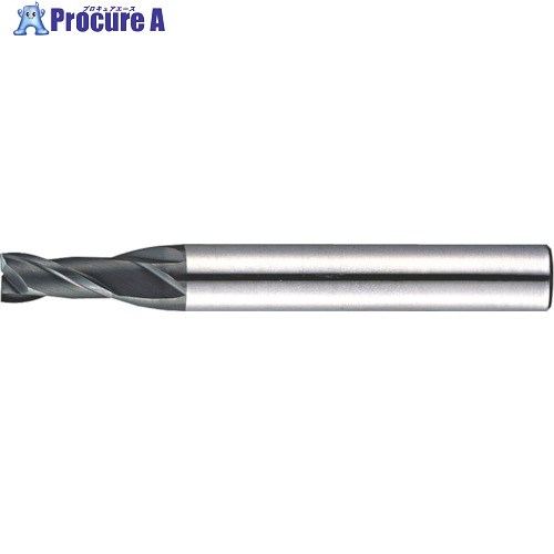 MOLDINO ATコート NEエンドミル ショート刃 2NES3-AT 2NES3-AT 1本 ■▼427-5667 【送料都度見積】