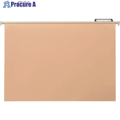 ライオン ハンガーフォルダー A5-HF-20P A5-HF-20P(13407) 1パック ■▼430-4972 【送料都度見積】