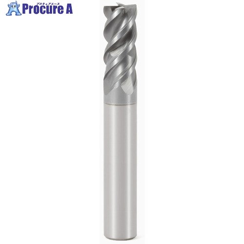 セコ JABRO Solid2 エンドミル 554250R100Z4.0-SIRON-A 1個 ▼430-7202