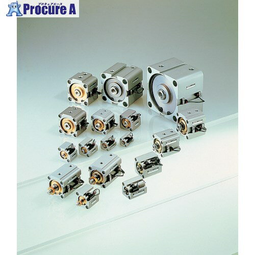 TAIYO 薄形空気圧シリンダ 10S-1RCA100N80TY2 1個 ■▼444-9812 【送料都度見積】