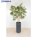 グリーンクロス 人工樹木/人工観葉植物 モミジ 大 6300033756 1個 ■▼456-8600 ※個人宅様送り不可