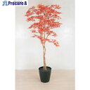 グリーンクロス 人工樹木/人工観葉植物 モミジ 小 6300033750 1個 ■▼456-8601 ※個人宅様送り不可