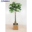 グリーンクロス 人工樹木/人工観葉植物 パキラ 6300033755 1個 ■▼456-8602 ※個人宅様送り不可
