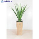 グリーンクロス 人工樹木/人工観葉植物 パンダヌス 6300033757 1個 ■▼456-8603 ※個人宅様送り不可