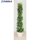 グリーンクロス 人工樹木/人工観葉植物 ポトス 6300033749 1個 ■▼456-8606 ※個人宅様送り不可