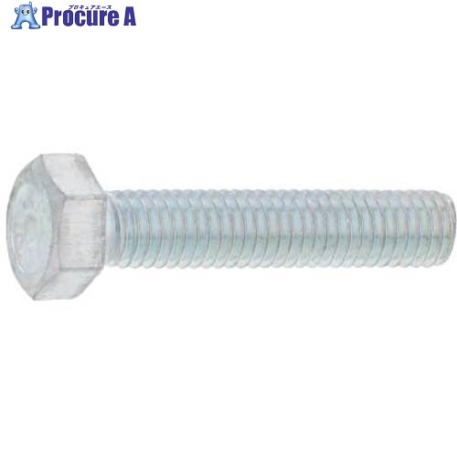 SUNCO 三価ホワイト 10.9 六角ボルト 全ネジ 6 X 60 (10本入) B0-00-0450-0060-0600-03-10P 1袋 ■▼459-7302 【送料都度見積】