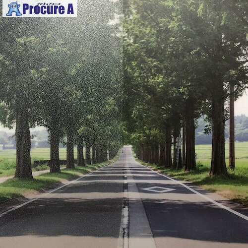 グリーンクロス ファサラ フロスト/マット SH2EMLA ローザンヌ 1270mmX切売 6300034271 1M ■▼467-7087 ..